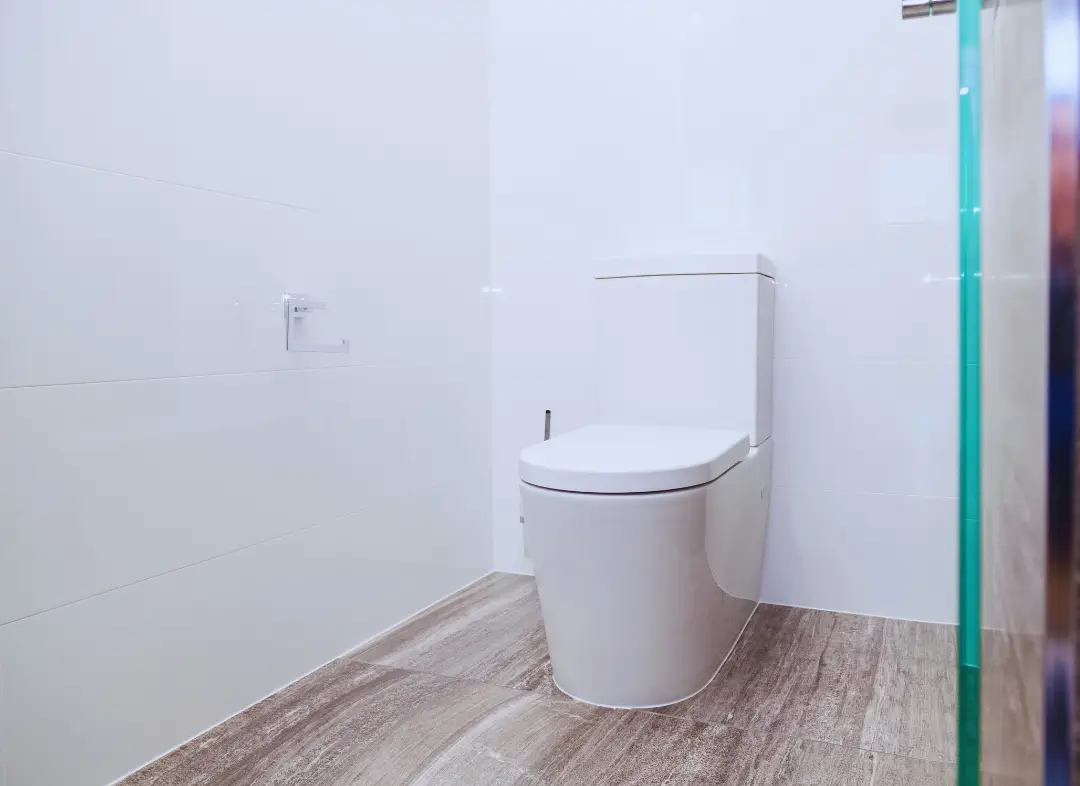 Remplacement de wc Saint-Martin-de-Valgalgues